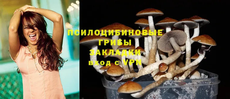 Псилоцибиновые грибы Psilocybine cubensis  сколько стоит  Полесск 